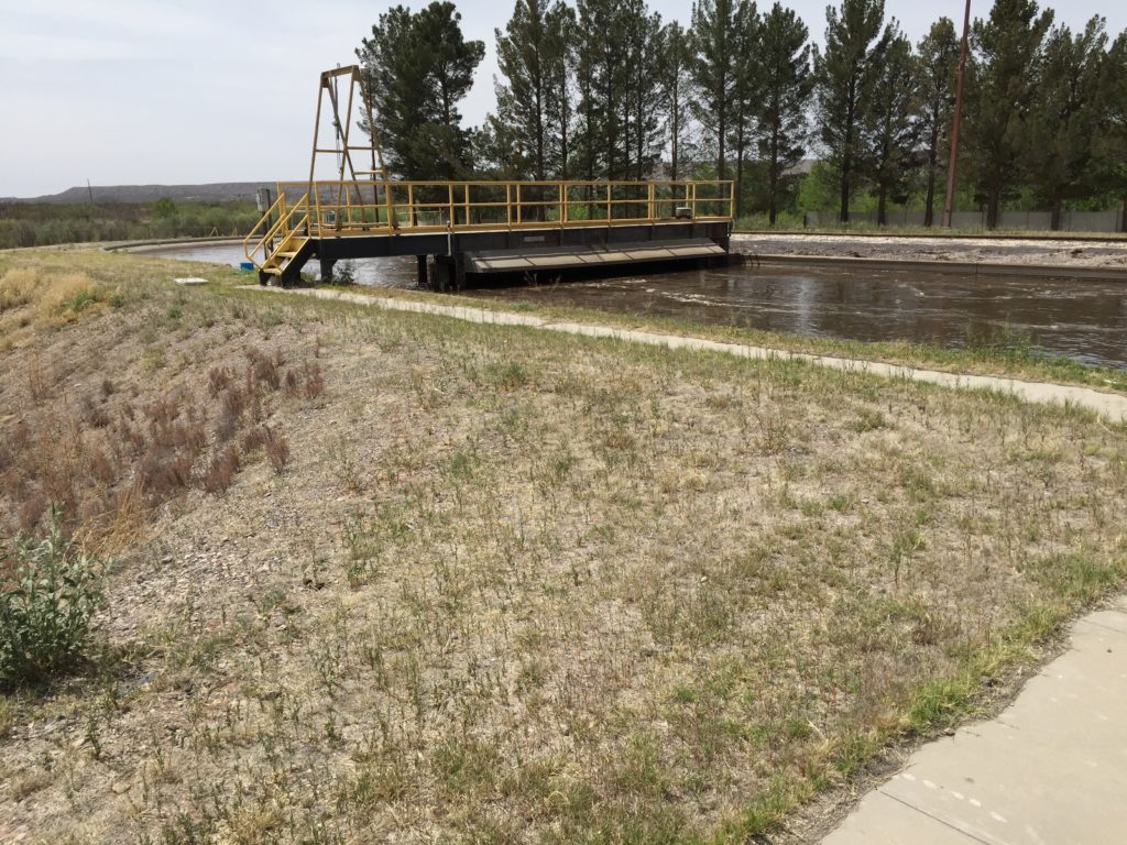 Ox Ditch S. Rotor_4150